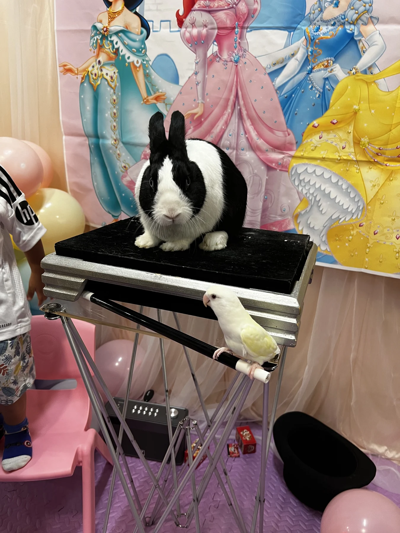 Magical Guy rabbit on a birthday party magic table