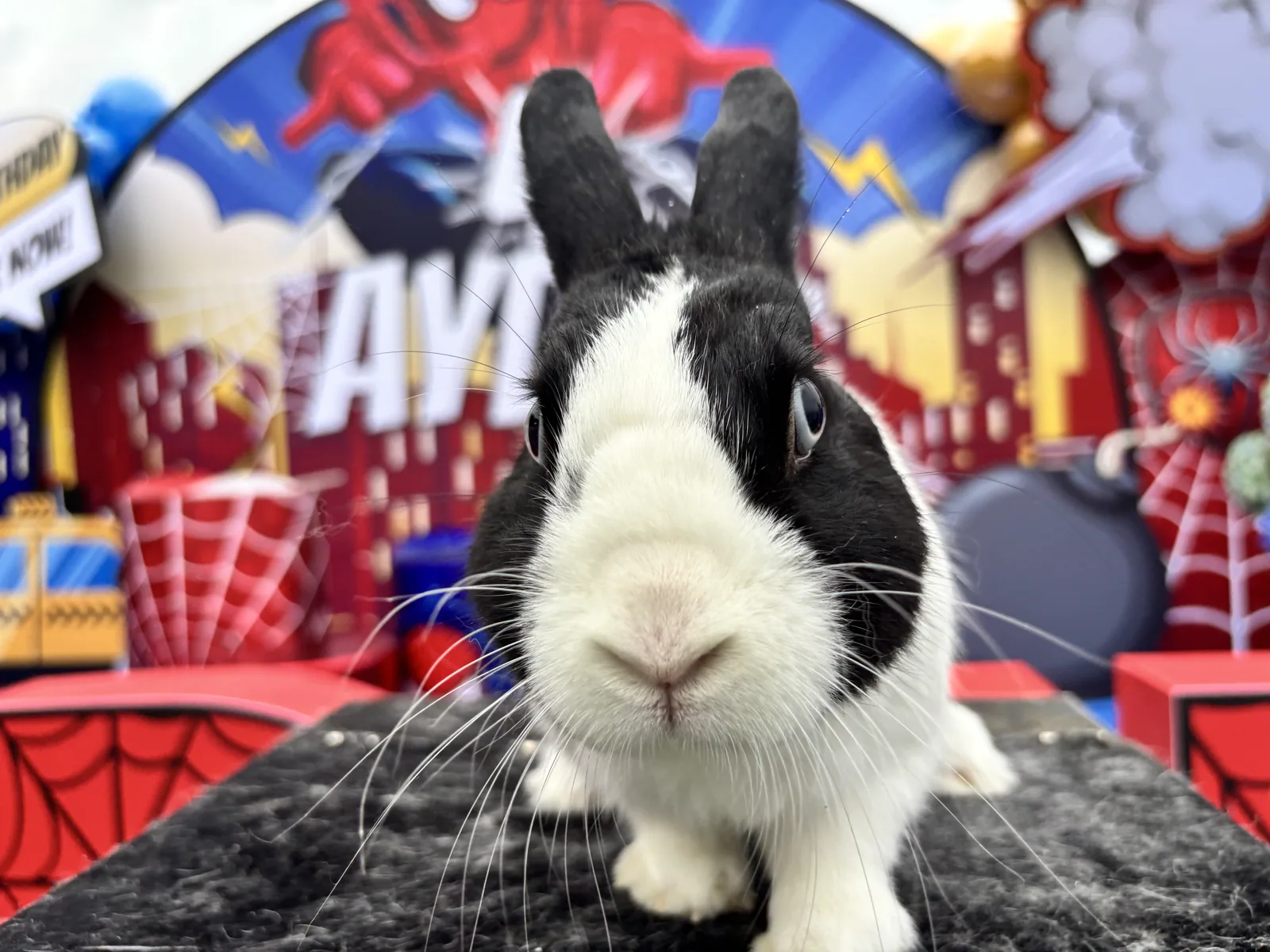 Oreo bunny photo moment at a Hong Kong kids party